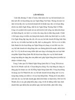 GIẢI PHÁP NHẰM MỞ RỘNG HOẠT ĐỘNG CHO VAY HỘ KINH DOANH TẠI NGÂN HẦNG THƯƠNG MẠI CỔ PHẦN LÊ TRỌNG TẤN