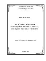 Tổ chức hoạt động nhóm trong dạy học phần III vi sinh vật, sinh học 10   trung học phổ thông 