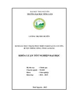 Đánh giá thực trạng phát triển nông lâm kết hợp tại xã cần yên   huyện thông nông   tỉnh cao bằng 