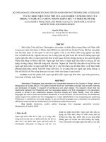 VỀ CÁC KHÁI NIỆM TOÀN THỂ CỦA ALEXANDER VÀ PHẨM CHẤT CỦA PIRSIG: Ý NGHĨA CỦA CHÚNG TRONG KIẾN TRÚC VÀ THIẾT KẾ ĐÔ THỊ