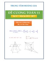 Đề cương ôn tập môn toán lớp 11 Học kì I (Lê Văn Đoàn)