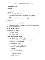 giao an 5t   nhà trẻ   đinh thuy ha 