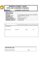 Management Accounting - Assigment 2