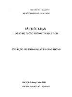 BÀI TIỂU LUẬN : ỨNG DỤNG GIS TRONG QUẢN LÝ GIAO THÔNG