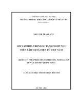 Lỗi văn hóa trong sử dụng ngôn ngữ trên báo mạng điện tử việt nam 