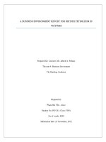 BUSINESS ENVIRONMENT  Assignment 1