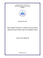 Phát triển tín dụng cá nhân tại ngân hàng thương mại cổ phần việt nam thịnh vượng