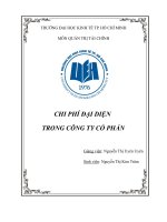 Chi phí đại diện của công ty cổ phần
