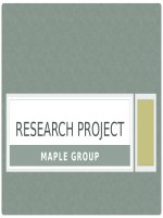 Research project Assignment 2 slide