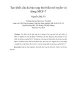 Tạo khối cầu đa bào ung thư biểu mô tuyến vú dòng MCF 7 