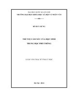 Trí tuệ cảm xúc của học sinh trung học phổ thông 