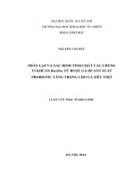 Phân lập và xác định tính chất các chủng vi khuẩn bacillus từ ruột gà để sản xuất probiotic tăng trọng cho gà siêu thịt 