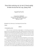 Hoàn thiện marketing mix tại một số doanh nghiệp lữ hành trên địa bàn hạ long, quảng ninh 