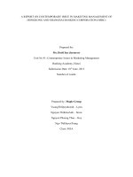 Contemporary Issues in Marketing Management- Assignment 2