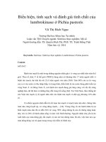 Biểu hiện, tinh sạch và đánh giá tính chất của lumbrokinase ở pichia pastoris 