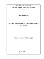 Các quá trình rã có sự tham gia của hạt tựa axion 