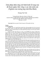 Giải pháp nhân rộng mô hình kinh tế trang trại để thoát nghèo bền vững ở các tỉnh miền núi (nghiên cứu trường hợp tỉnh hòa bình) 