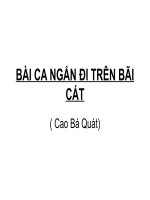 BÀI CA NGẮN đi TRÊN bãi cát