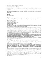 PARACETAMOL CAFEIN vien ne HT 