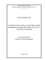 Tác động của di cư mùa vụ nông thôn   đô thị đến đời sống gia đình nông thôn xã cẩm văn   cẩm giàng   hải dương 
