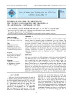 ĐÁNH GIÁ SỰ HÀI LÒNG CỦA KHÁCH HÀNG ĐỐI VỚI CHẤT LƯỢNG DỊCH VỤ THẺ THANH TOÁN CỦA VIETINBANK  CHI NHÁNH CẦN THƠ