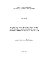 Nghiên cứu tổng hợp vật liệu hấp phụ trên cơ sở nanocomposite của sio2 và ống nanocarbon từ vỏ trấu 