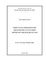 Nghiên cứu quá trình khoáng hóa một số chất hữu cơ gây ô nhiễm khó phân hủy (POP) bằng bột sắt nano 