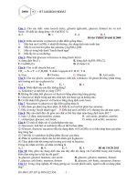 DANG 19 5  BT CACBON HIDRAT 