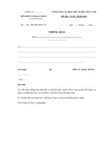 Mẫu thông báo nội bộ mới nhất