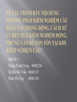 Chuyên đề thi công cầu Trình bày nội dung phương pháp kiểm nghiệm cầu bằng tải trọng động. Cách xử lý kết quả kiểm nghiệm động. Những vấn đề còn tồn tại khi kiểm nghiệm cầu?