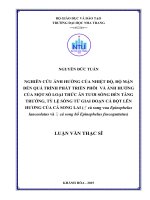 Nghiên cứu ảnh hưởng của nhiệt độ,độ mặn đến quá trình phát triển phôi và ảnh hưởng của một số loại thức ăn tươi sống đến tăng trưởng, tỷ lệ sống từ giai đoạn cá bột lên hương của cá song lai (cá song vua đự 