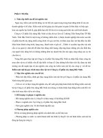 đề cương sơ bộ