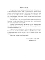 Giải pháp hạn chế rủi ro tín dụng tại ngân hàng chính sách xã hội việt nam – chi nhánh quảng trị 