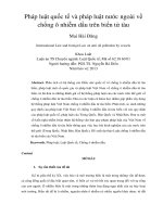 Pháp luật quốc tế và pháp luật nước ngoài về chống ô nhiễm dầu trên biển từ tàu 