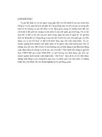 thực trạng tỷ giá hối đoái ở Việt Nam từ 2008 đến 2011