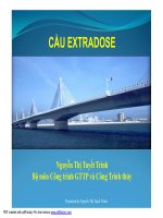 BÀI GIẢNG CẦU EXTRADOSE