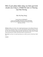 Một số giải pháp nhằm nâng cao hiệu quả kinh doanh của công ty TNHH du lịch và thương mại đại dương 