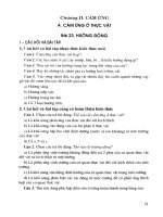 Hướng dẫn giải bài tập sinh học 11 (chương trình chuẩn) phần 2