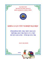 TÌNH HÌNH TIÊU THỤ THỦY hải sản TRÊNĐỊA bàn THỊ TRẤN cửa VIỆT HUYỆN GIO LINH – TỈNH QUẢNG TRỊ 