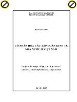 Cổ phần hóa các tập đoàn kinh tế nhà nước ở việt nam 