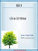 Bài giảng Toán rời rạc Bài 8 - TS. Nguyễn Văn Hiệu