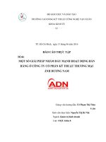 MỘT SỐ GIẢI PHÁP NHẰM ĐẨY MẠNH HOẠT ĐỘNG BÁN HÀNG Ở CÔNG TY CỔ PHẦN KỸ THUẬT THƯƠNG MẠI ÁNH DƯƠNG NAM