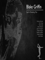 Blake Griffin Marketing Plan Final Compressed