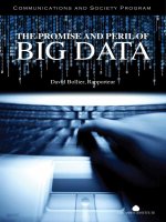 The promise and peril of big data