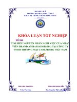 Tìm hiểu nguyên nhân nghỉ việc của nhân viên brand ambassador (BA) tại công ty TNHH thương mại carlsberg việt nạm hiện nay 