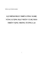 LỘ TRÌNH PHÁT TRIỂN CÔNG NGHỆ NĂNG LƯỢNG HẠT NHÂN VÀ DỰ BÁOTRIỂN VỌNG TRONG TƯƠNG LAI