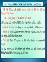 Luật pháp, chế độ chính sách bảo hộ lao động