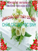 Bài giảng sinh học 7 bài trùng kết lị và trùng sốt rét (6) 