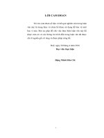 Đánh giá sự hài lòng với công việc của công nhân trực tiếp sản xuất tại công ty TNHH shaiyo AA việt nam 