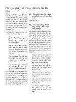 Các giải pháp thích ứng với biến đổi khí hậu(photo)